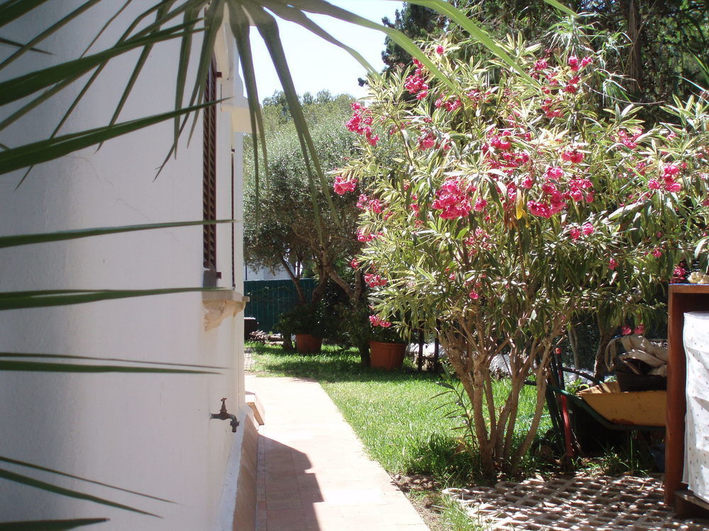Apartamentos Osa Menor Cala D´Or 외부 사진