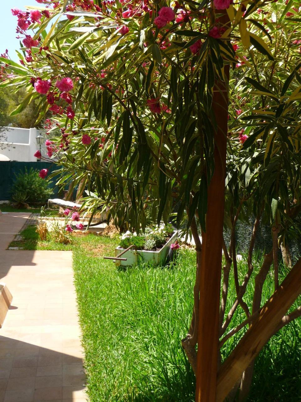 Apartamentos Osa Menor Cala D´Or 외부 사진